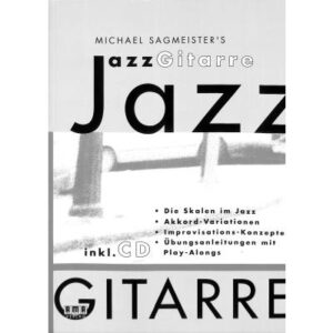 Sagmeister´s Jazzgitarre