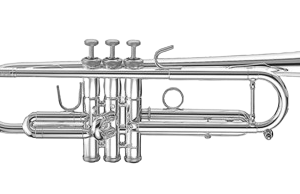 B-Trompete Stomvi Forte 5000 -Einzelstück-
