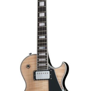 E-Gitarre Schecter Custom Solo-II - GNAT