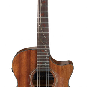 Westerngitarre Ibanez AE295-LGS