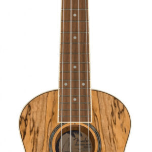 Konzert Ukulele Fender Zuma Exotic Spalted Maple