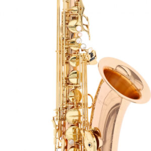 B-Tenor-Saxophon Yanagisawa T-WO20 Elite