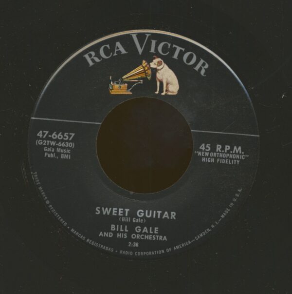 Bill Gale - Sweet Guitar - A Million Beers From Now (7inch