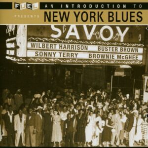 Various - An Introduction To New York Blues (CD)