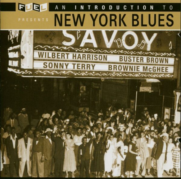 Various - An Introduction To New York Blues (CD)