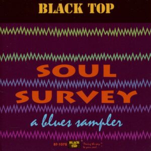 Various - Soul Survey - A Blues Sampler (CD)