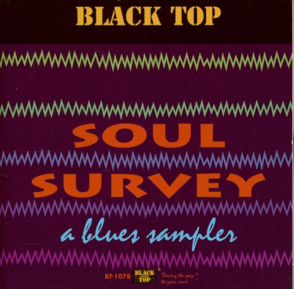 Various - Soul Survey - A Blues Sampler (CD)