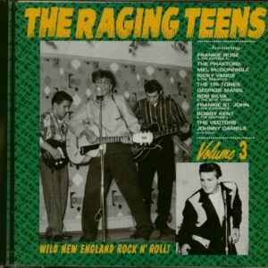 Various - The Raging Teens - Wild New England Rock'n'Roll Vol.3 (CD)