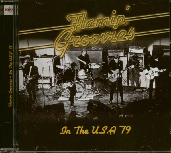 The Flamin' Groovies - In The U.S.A '79 (CD)