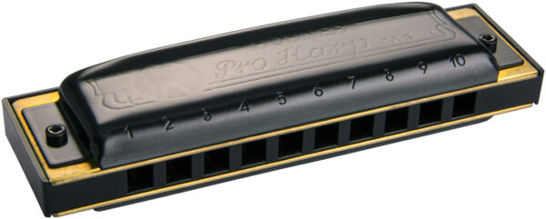 Mundharmonika Hohner Pro Harp MS D