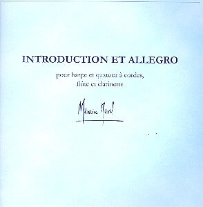 Introduction + Allegro