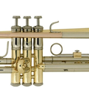 B-Trompete Bach Student Serie TR-501