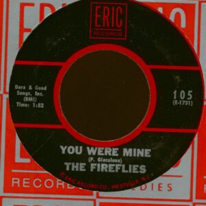 The Fireflies - You Were Mine - Stella Got A Fella (7inch