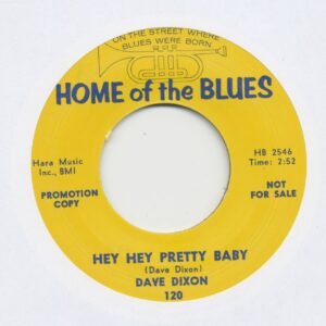 Dave Dixon - Hey Hey Pretty Baby - You Satisfy (7inch