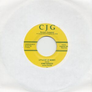 Sonny Burgessand and The Pacers - Little Bit Of Money - Sun Days (7inch