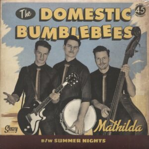 The Domestic Bumblebees - Mathilda - Summer Nights (7inch