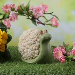 Schnecke BLUMENKOHL - Gartenfigur - Dekofigur - Polyresin - H: 11cm...