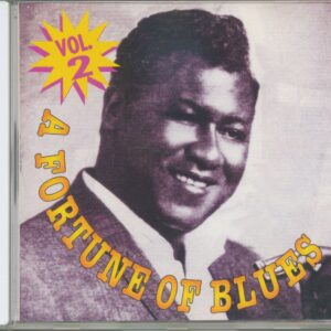 Various - A Fortune Of Blues Vol.2 (CD)