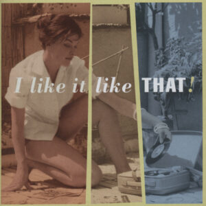 Various - I Like It Like That!