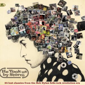 Various - He Took Us By Storm - 25 Lost Classics from the Bob Dylan Folk Rock Revolution Era (CD)