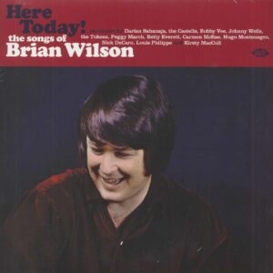 Various - Here Today - The Songs Of Brian Wilson (LP