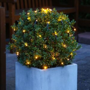 LED Lichternetz Buchsbaum - 60 warmweiße LED - D: 35cm - 8 Funktion...